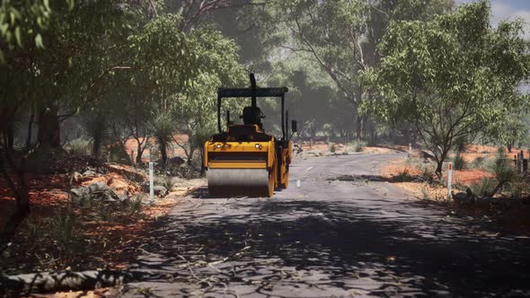 Road Roller Tractor in the Forest