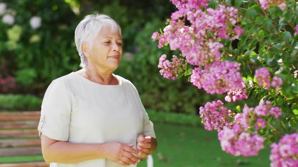 Video of happy biracial senior woman smelling flowers in garden