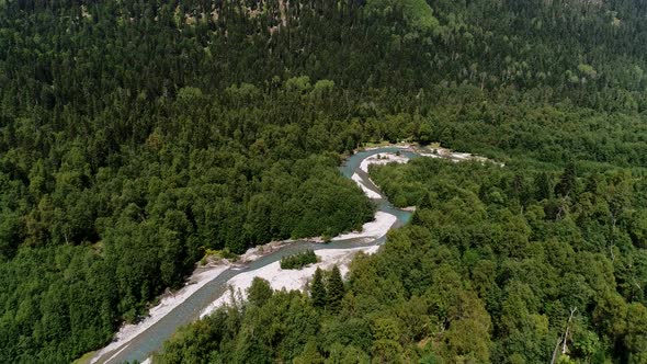 Aerial View Wild Green Forest and Transparent Mountain River