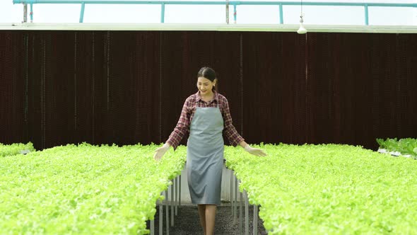 A new generation of asian young woman with organic vegetable business exploring