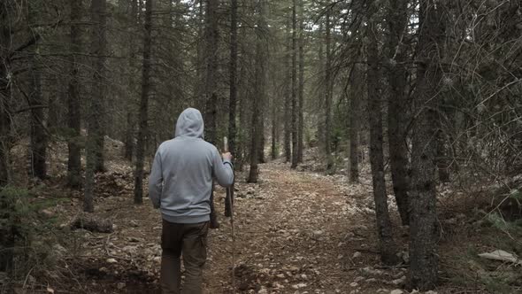 Man Exploring The Forest