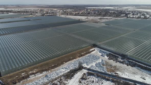 Flying Over Glass Greenhouses Growing Plants View From a Height Reflections in Glass Surfaces