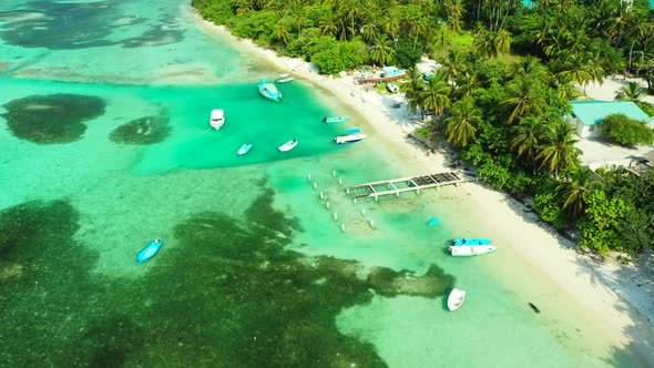 Aerial drone view sky of perfect coast beach wildlife by blue sea and white sand background of a day