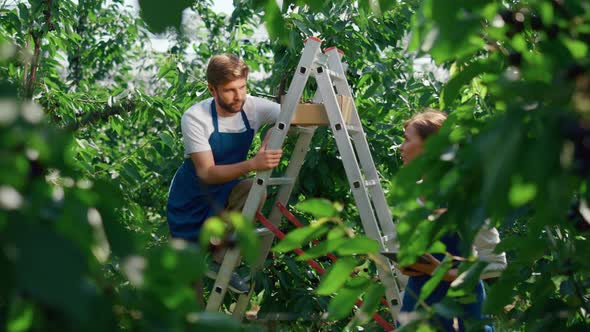 Agro Specialists Team Discussing Production Level in Green Impressive Garden