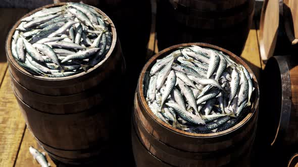 Wooden barrels with the fresh mackerels on the harbor.  Fruitful fishing day.