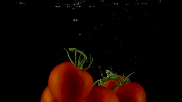 Red Tomatoes Fall and Float in Water Black Background Slow Motion