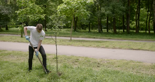 Teenager Boy with Spade Planting Tree Outdoor