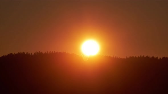 Sunrise From Behind the Spruce Forest