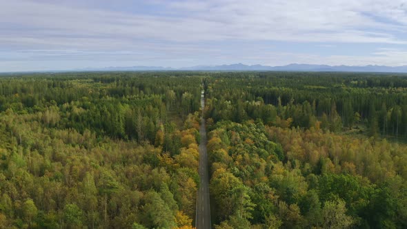 Wonderful aerial view over a wide green forest with a street leading through the trees and the alp m