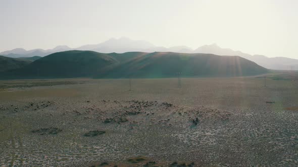 Desert Lake, Animals and Mountain Erciyes