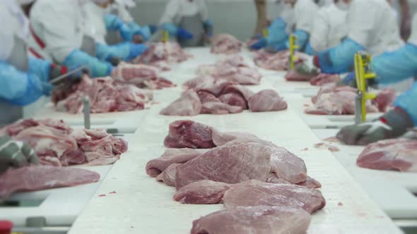 Group Of Butchers Working In A Meat Processing Factory