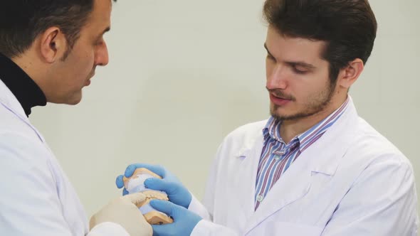 Two Male Dentists Discussing Jaw Mold at the Dental Clinic