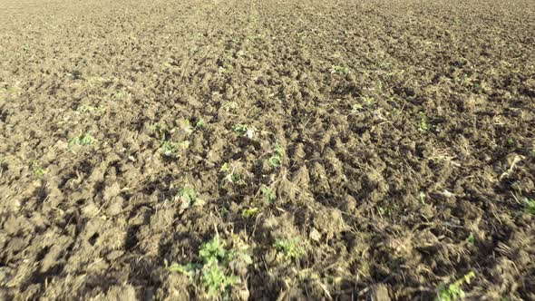 Aerial Shot of Plowed Empty Field During Winter on Sunny Day - Closeup