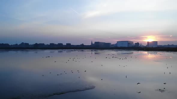 Birds resting, swiming and flying around during a sunrise in the netherlands during the summer. Slow