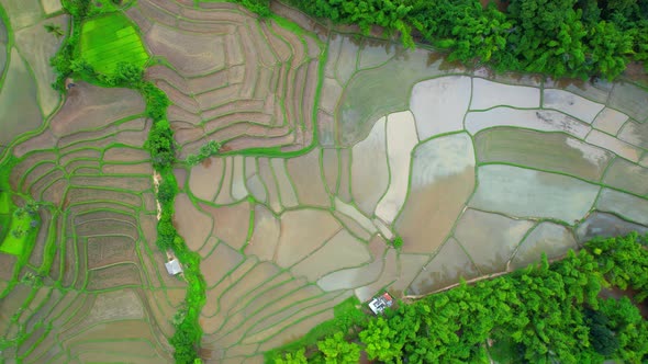 Aerial view of drones flying over rice terraces