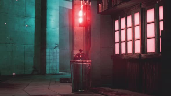 Old Street of Asian Town alt