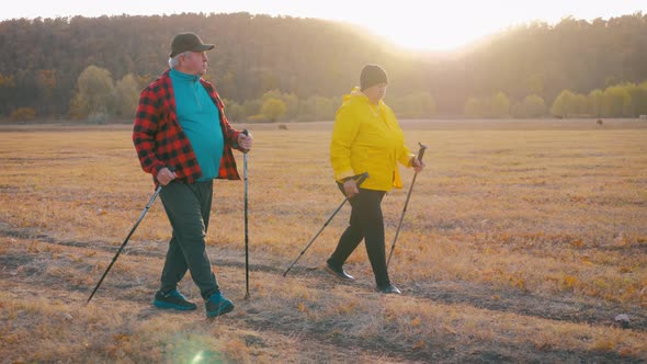 Mature Couple Nordic Walking on Pathway in the Meadow.