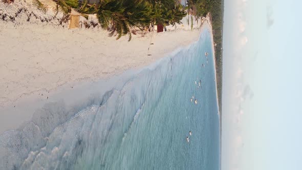 Vertical Video of the Beach on Zanzibar Island Tanzania Aerial View