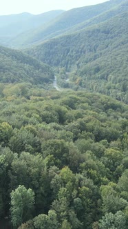 Carpathian Mountains