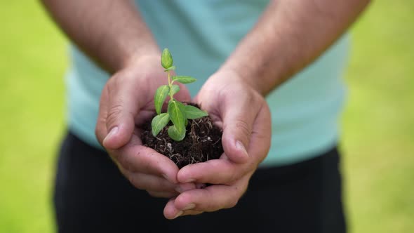 Holding Green Plant in Hands 77