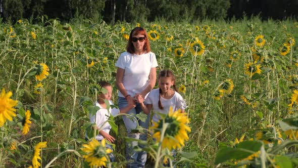 Happy Family Walking in Sunflowers Field