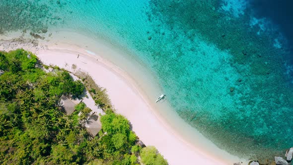 Aerial Footage of Tropical Beach on Helicopter Island with Palm Trees Blue Lagoon Azure Clear Water