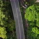 Road on the jungle - VideoHive Item for Sale