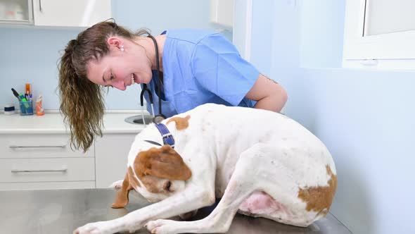 Young Happy Veterinary Nurse Smiling While Playing with a Dog