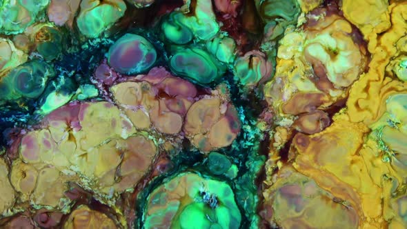 Liquid Colorful Paint Pattens Mix In Slow Motion 