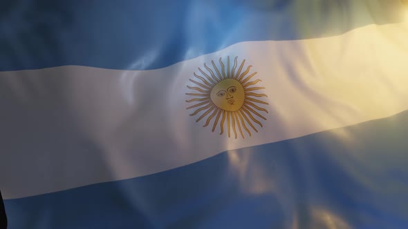 Argentina Flag