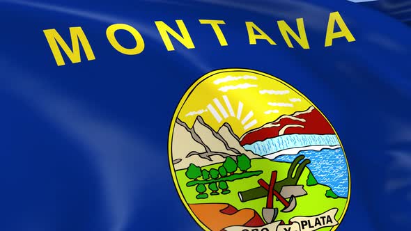 Montana State Flag alt