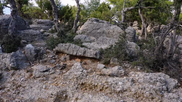 Beautiful Landscape of the Grey Rocks and Green Trees on a Summer Day