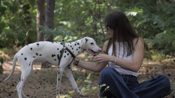 Cheerful Walk with Pet