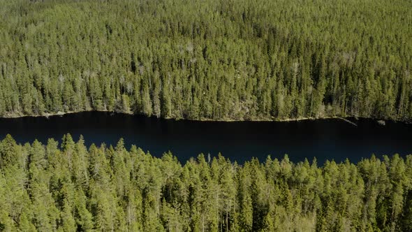 Aerial view overlooking lake Iso Helvetinjarvi, bright, sunny day, in Helvetinjarven kansallispuisto