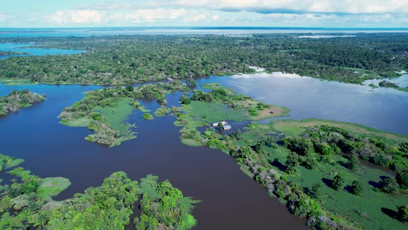 Stunning landscape of Amazon Forest at Amazonas State Brazil.