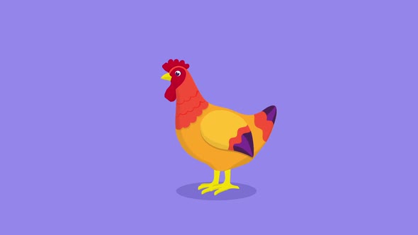 Hen