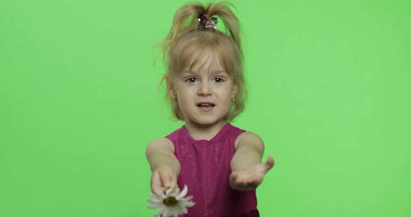 Girl Holds Chamomile Flower and Tells Something. Happy Little Child. Chroma Key