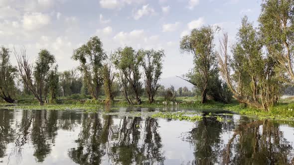 Beautiful Early Morning Water Reflections in Xochimilco, Mexico City