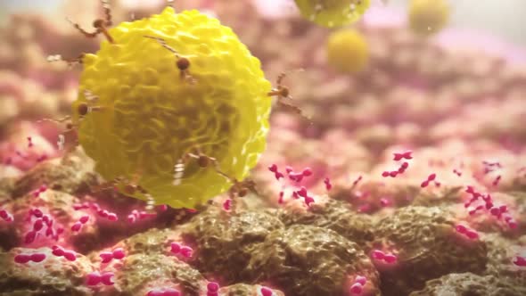 Antibodies in the bloodstream that are part of our immune system alt