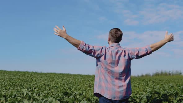 Young Happy Farmer Enjoys the View of the Soybean Field and the Successful Outcome of His Farming