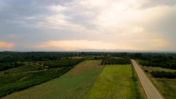 Drone view of country road and fields in evening, Cellarengo, Italy