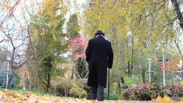 A Lonely Elderly Man Walks in the Central Autumn Park