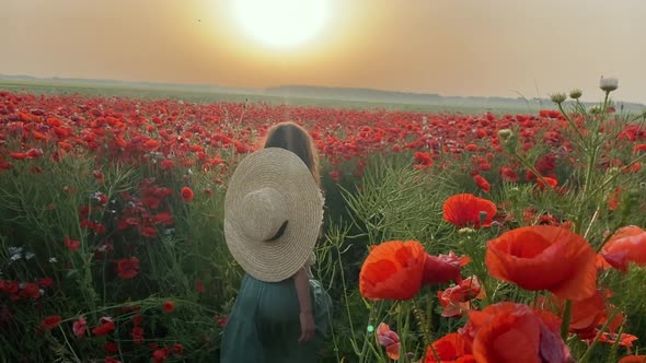 Little girl in dress having fun in a field of red poppies