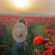 Little girl in dress having fun in a field of red poppies - VideoHive Item for Sale