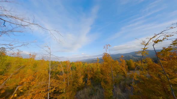 Aerial View of a Bright Autumn Forest on the Slopes of the Mountains at Sunrise