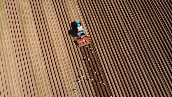 Agricultural Work on a Tractor Farmer Sows Grain