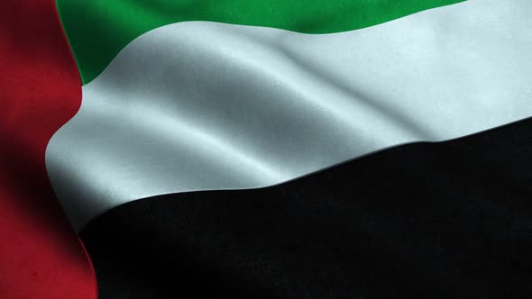 Highly Detailed Flag Of UAE