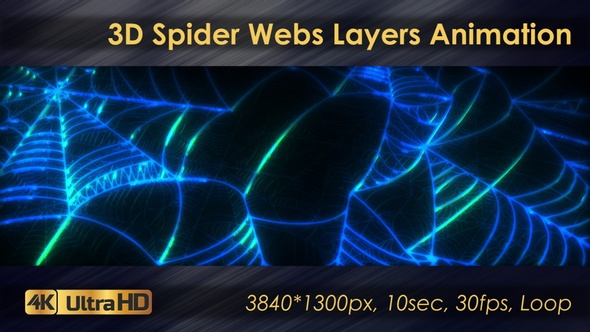 3D Spider Webs Layers Animation