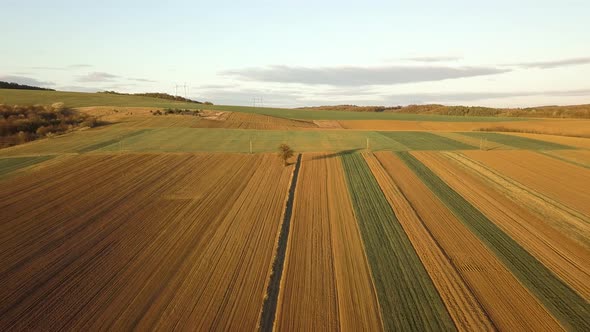 Aerial view of green agricultural fields in spring with fresh vegetation