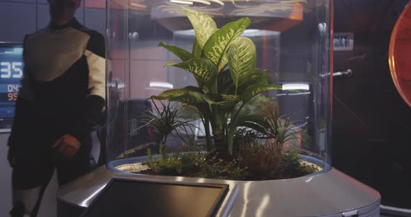 Male Scientist Working with Plant Incubator alt